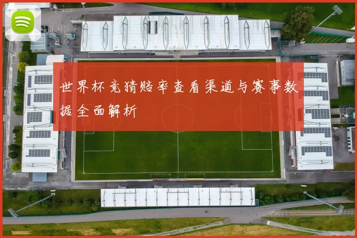 世界杯竞猜赔率查看渠道与赛事数据全面解析