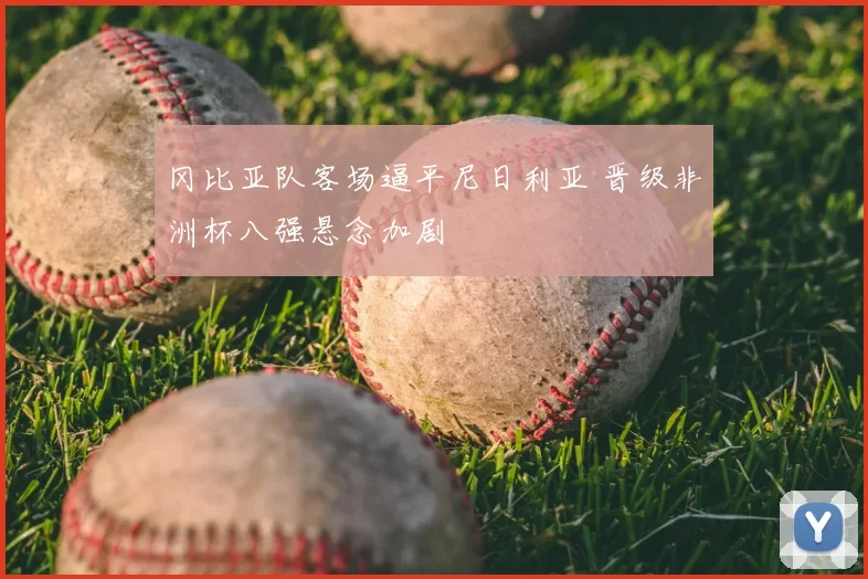 冈比亚队客场逼平尼日利亚 晋级非洲杯八强悬念加剧