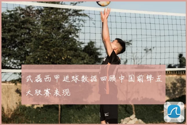 武磊西甲进球数据回顾中国前锋五大联赛表现