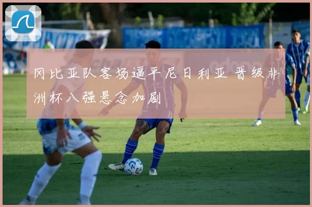 冈比亚队客场逼平尼日利亚 晋级非洲杯八强悬念加剧
