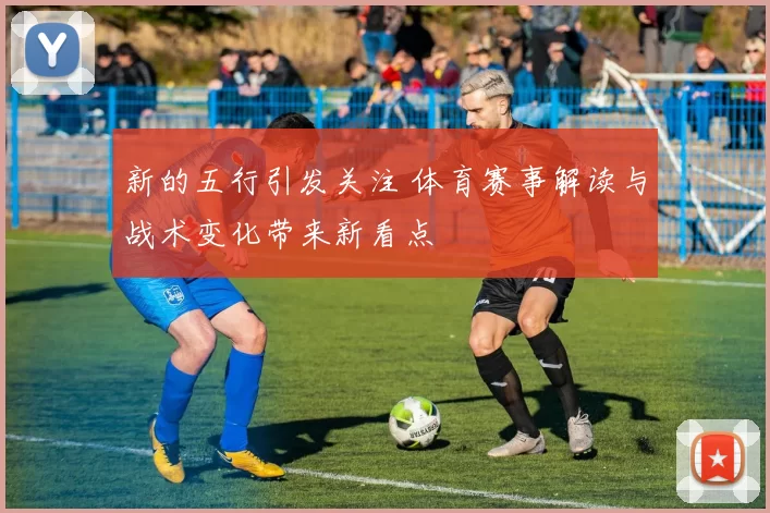 新的五行引发关注 体育赛事解读与战术变化带来新看点