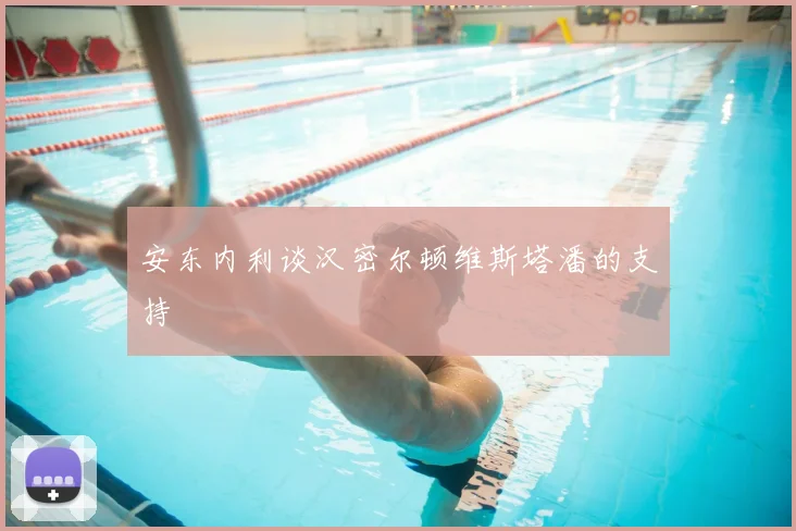 安东内利谈汉密尔顿维斯塔潘的支持