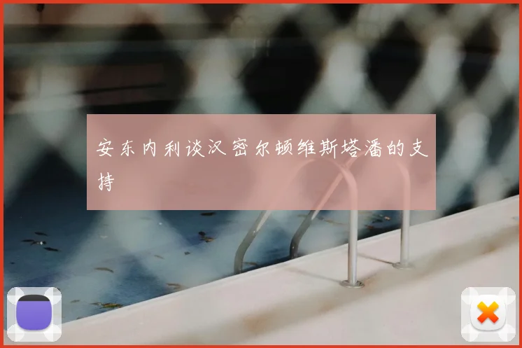 安东内利谈汉密尔顿维斯塔潘的支持