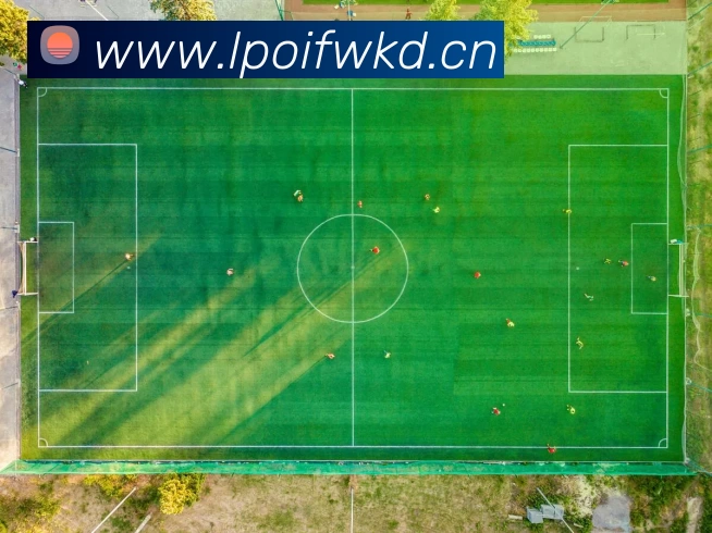 中国(九游会·J9)官方网站 - 首页APP 高清赛事图